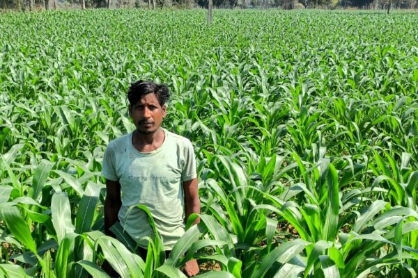 ग्रीष्मकालीन धान के बदले अन्य फसल के उत्पादन से किसान श्रवण की आय हुई दुगुनी।